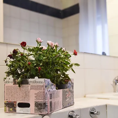 L'agrifoglio Affittacamere